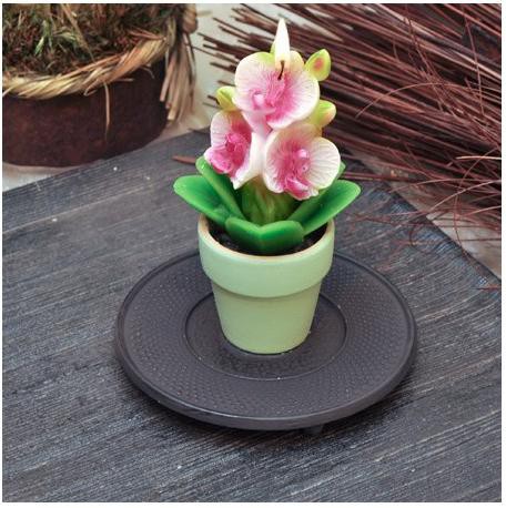 Фън Шуй Свещ - Орхидея (саксийка)